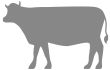 Icono Vaca
